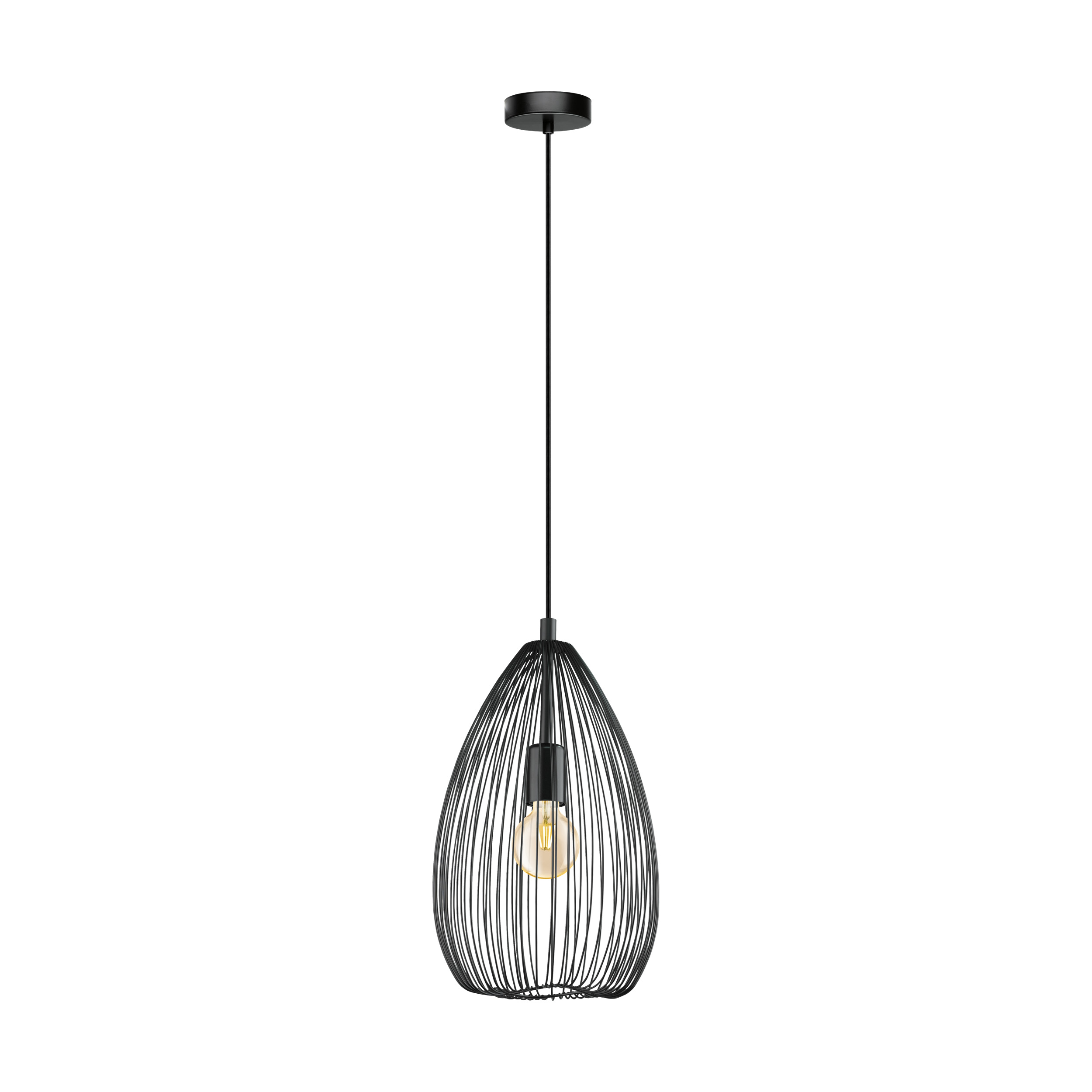 49141 Təkli asqı lampa qara polad 1X60Vt 110/D24sm CLEVEDON