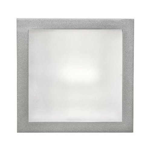 87029 spot gümüşü metal ağ mat şüşə 1x60W 200/200mm GLENN