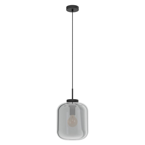39673 Təkli asqı lampa qara şəffaf şüşə 40W 150sm BULCIAGO