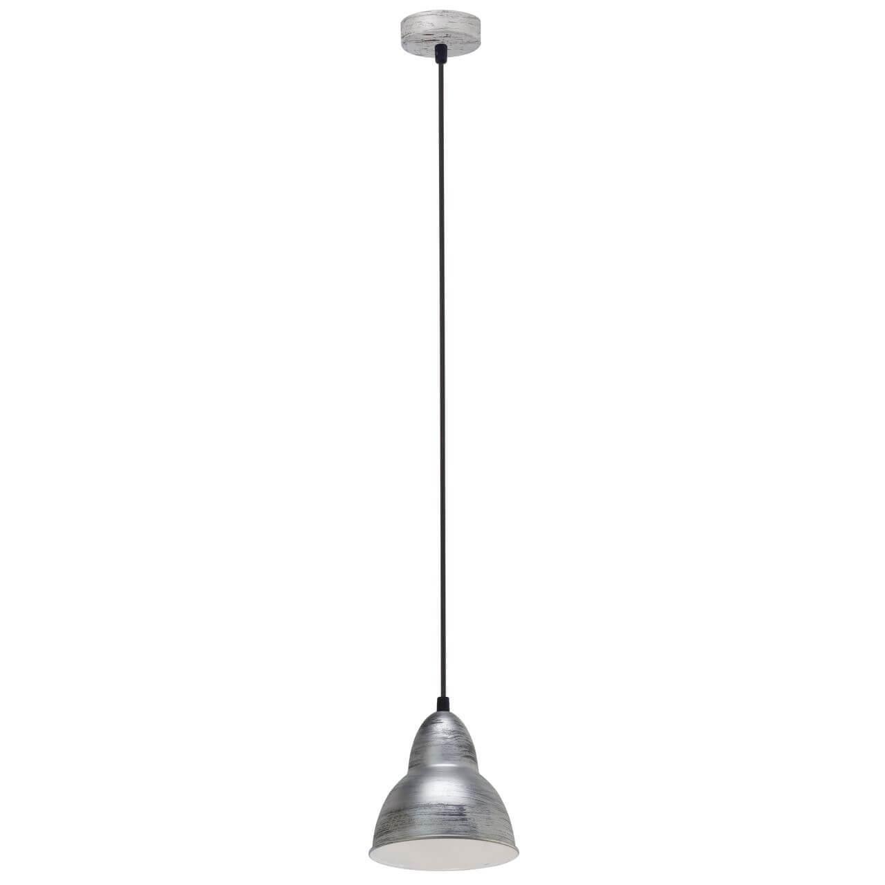 49236 Təkli asqı lampa gümüşü metal 60W 110sm TRURO 1
