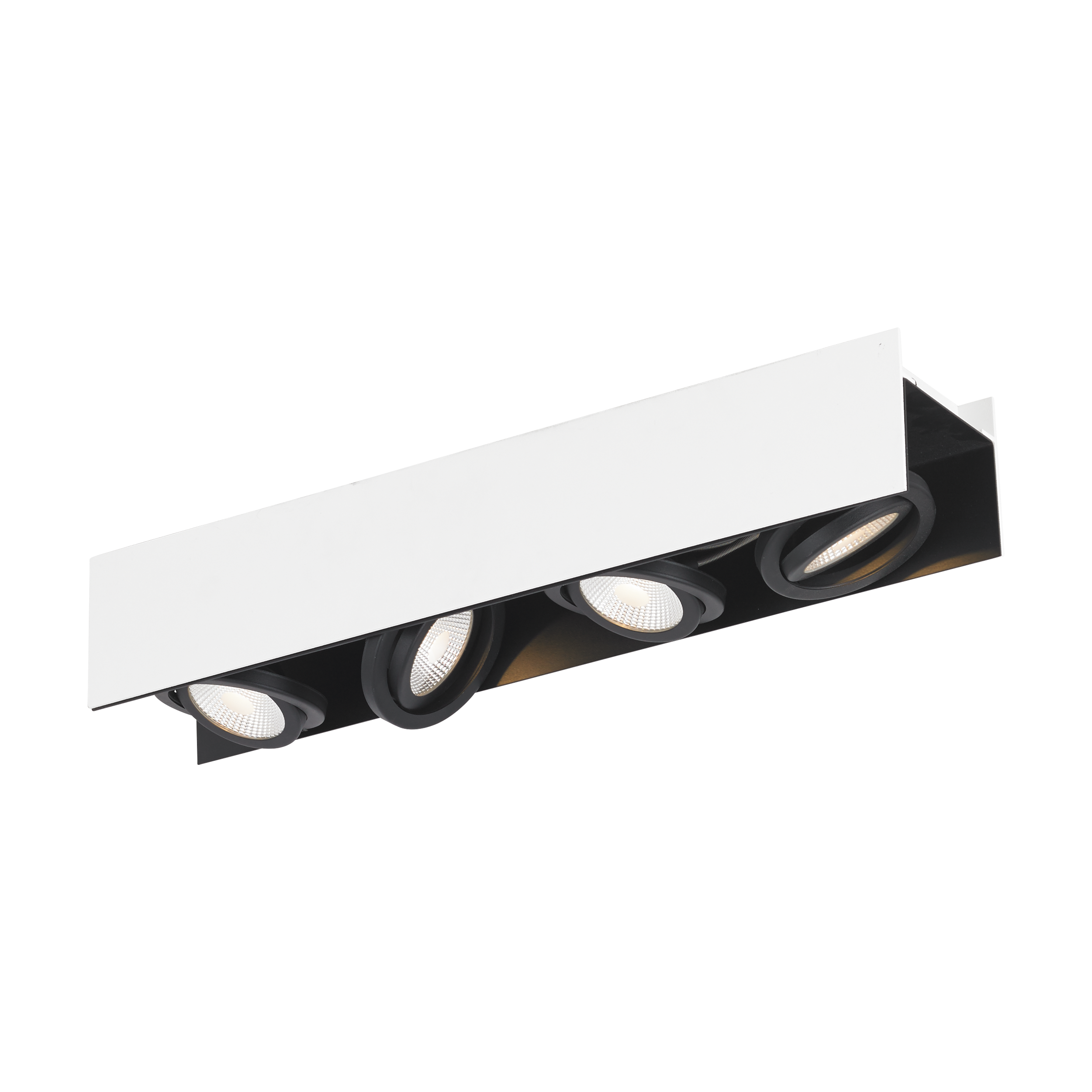 39318 Spot ağ qara polad 4x5,4W 110mm VIDAGO