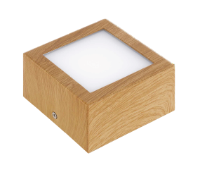 95195 Spot palıd polad ağ 1X4,2W COLEGİO